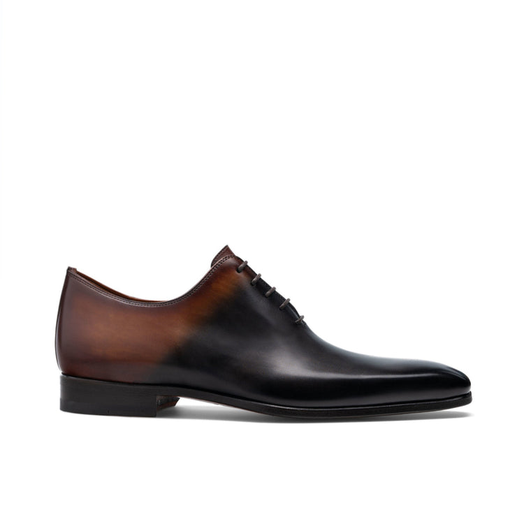 Height Increasing Black & Brown Leather Tasmania Oxfords