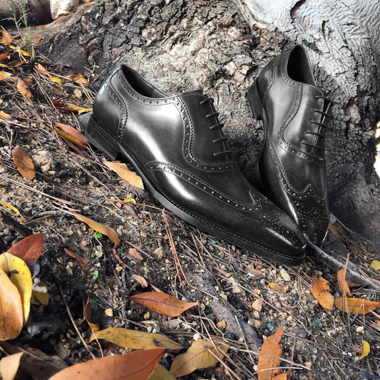 Black Leather Guarda Brogue Wingtip Oxfords - Formal Shoes